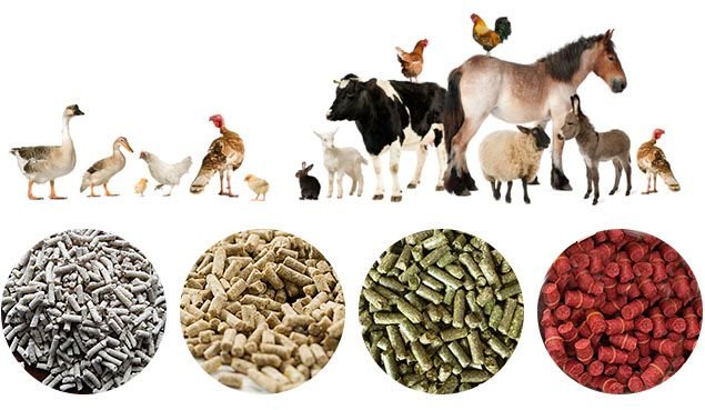 MAIKONG cattle feed pellet machine in modern Philippines feed mill facility