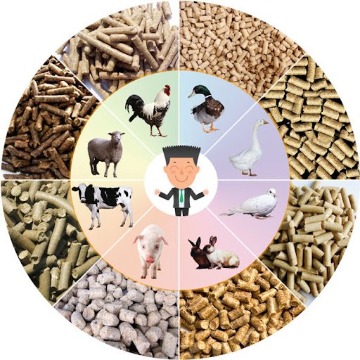 MAIKONG cattle feed pellet production line MK-003 in modern Philippine feed mill facility