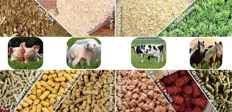 Difference Between Cattle Feed Production Line and Poultry Feed Line