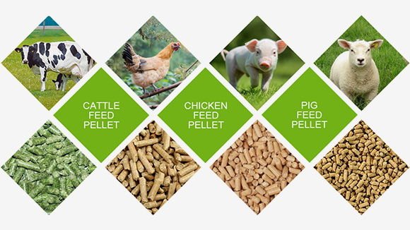 Feed ingredients prepared for manual pellet machine processing
