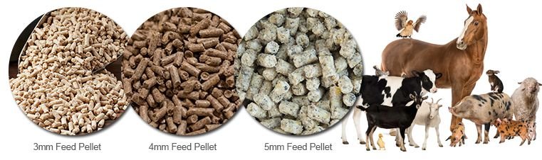 Complete cattle feed pellet production line facility showing multiple machines