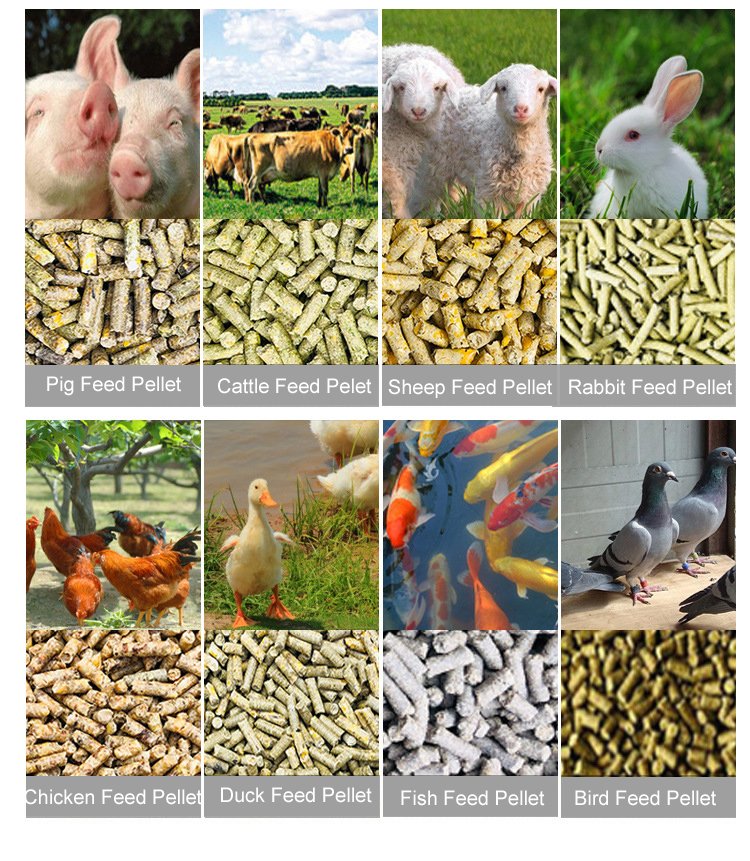 MAIKONG Fish Feed Pellet Machine MK-001