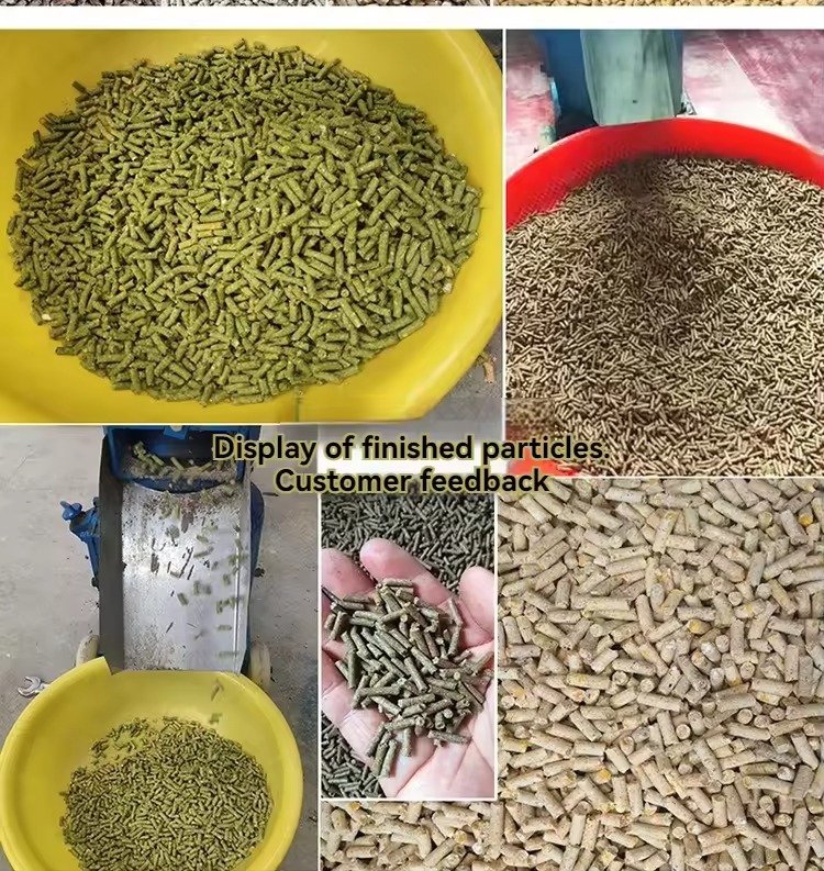 Complete catfish feed production line setup for Philippine aquaculture farms