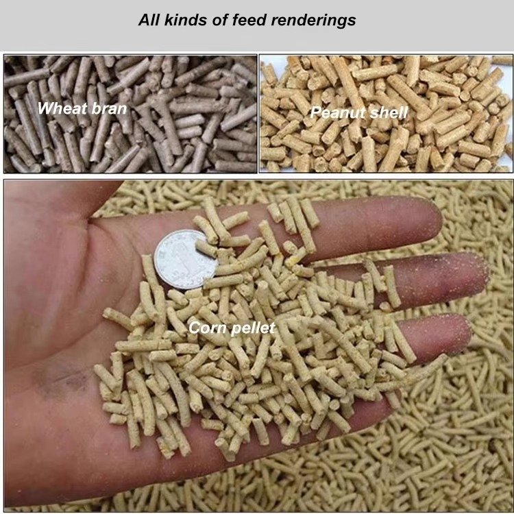 Feed Pellet Machine Line (89)