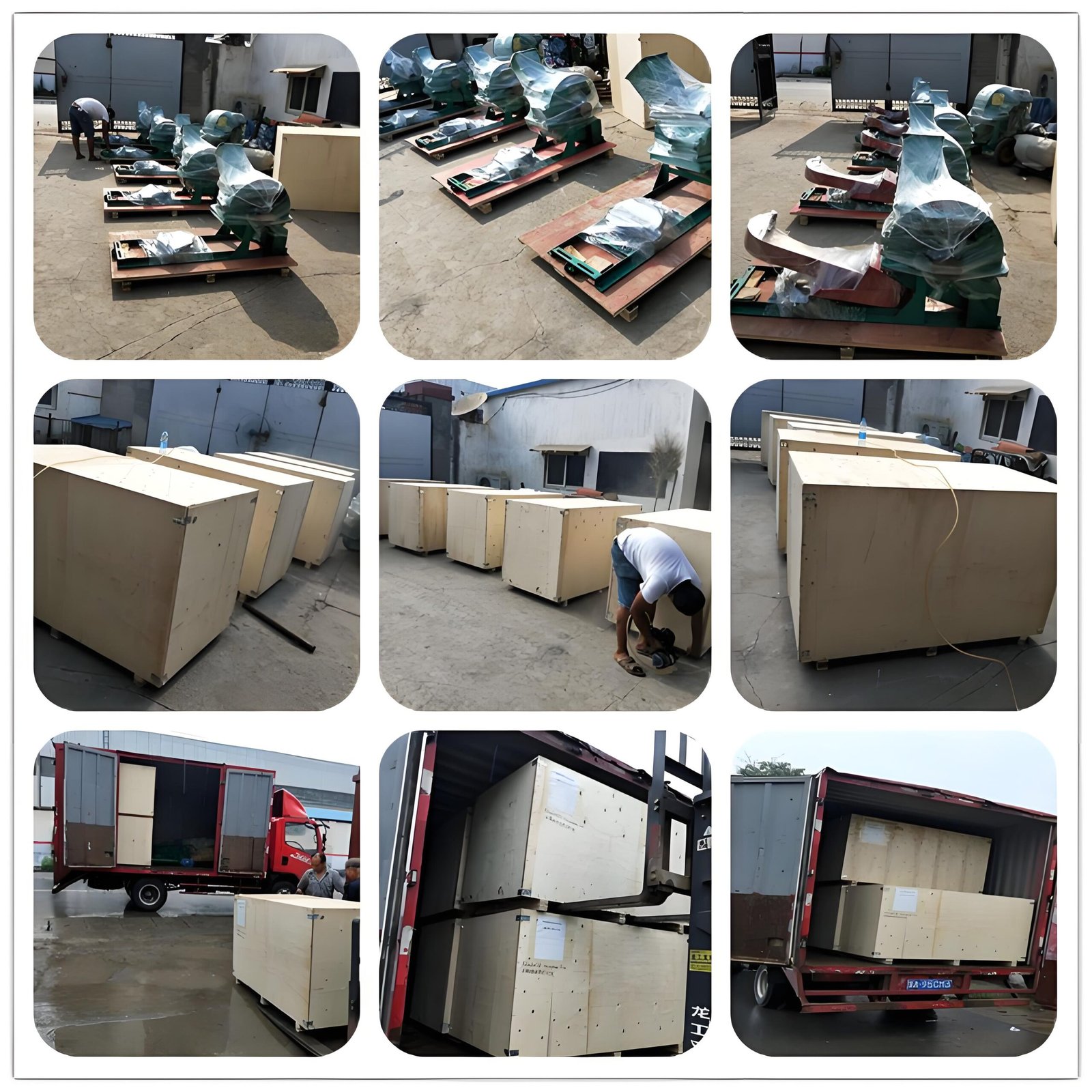 feed pellet machine 006 (1)