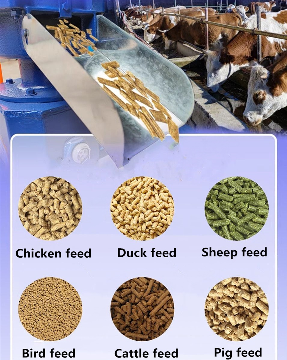 Small-scale fish feed pellet machine perfect for Philippine aquaculture farms