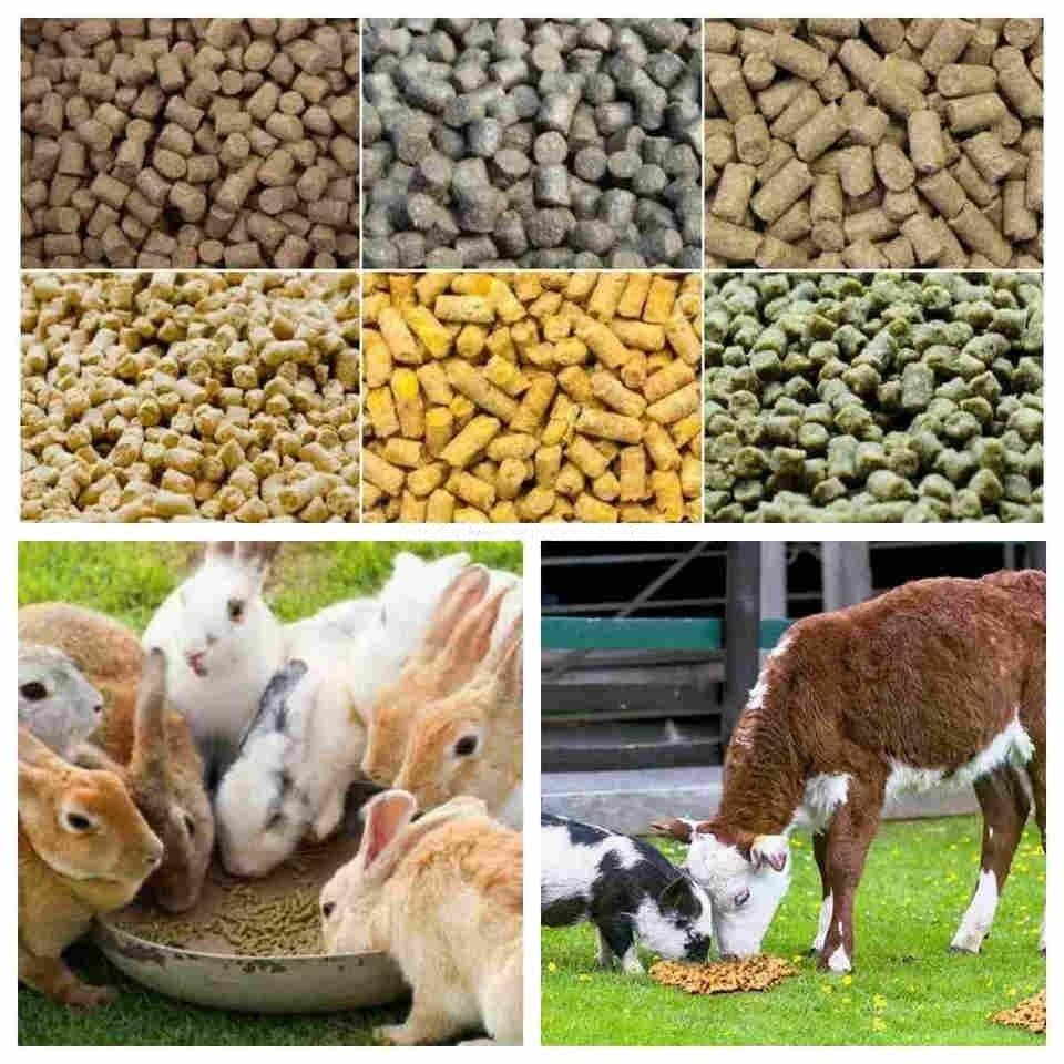 Fish feed pellet machine producing floating pellets for Philippine aquaculture farms