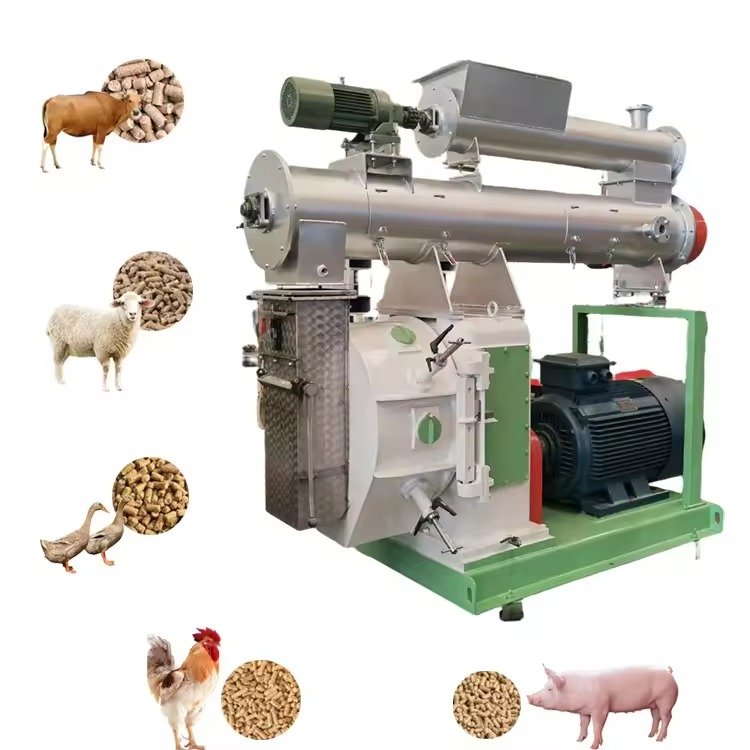 Modern cattle feed pellet production line in a Philippine manufacturing facility