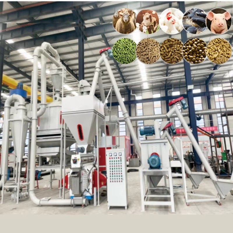 Modern fish feed production line facility in Philippines