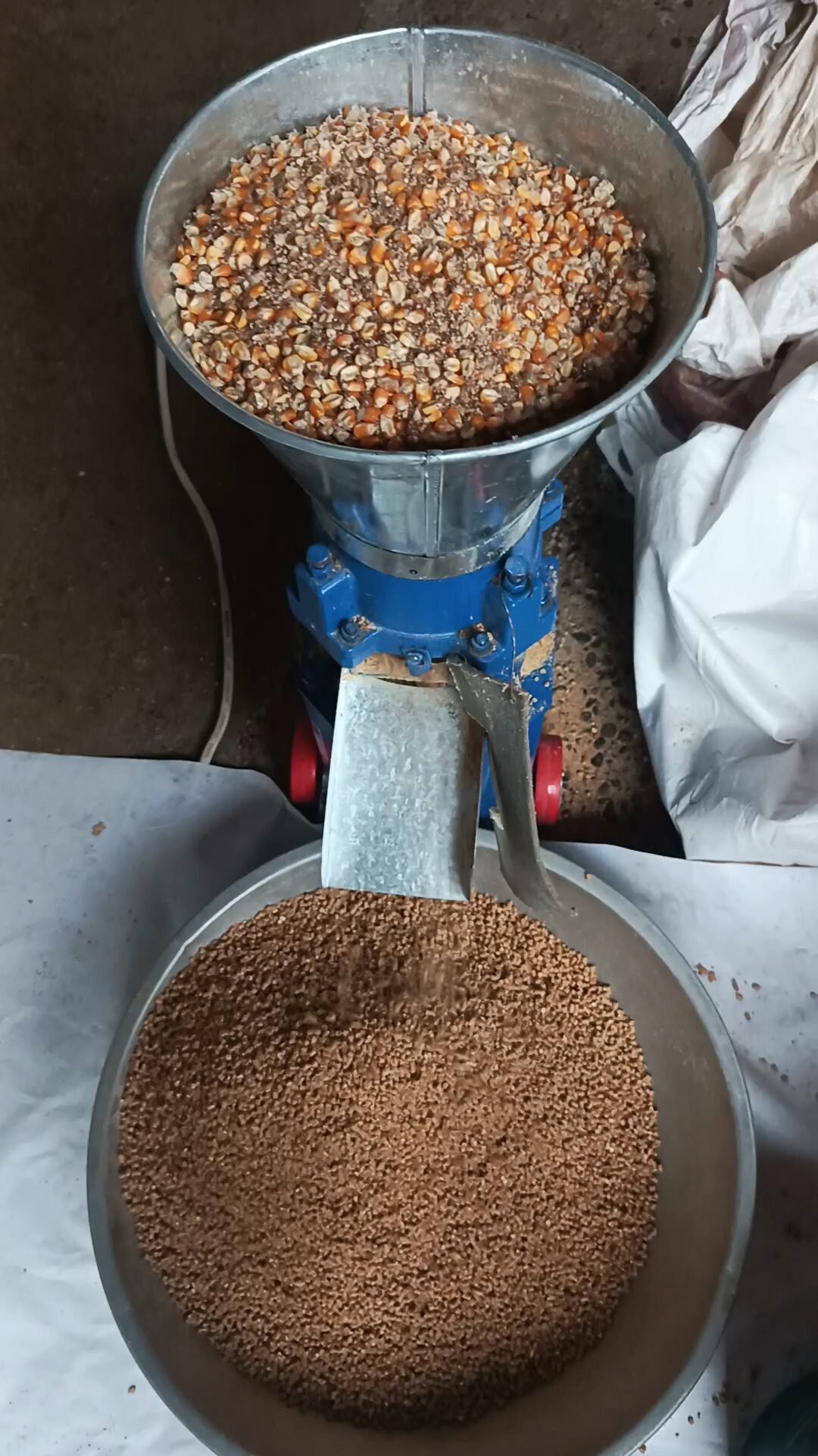 Modern aqua fish feed production line facility in Philippines