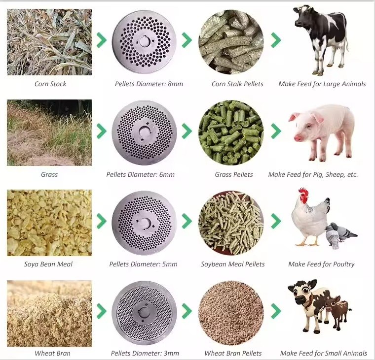 Key Components of a Poultry Feed Production Line Explained 9 MAIKONG chicken feed production line complete setup in modern Philippine feed mill facility