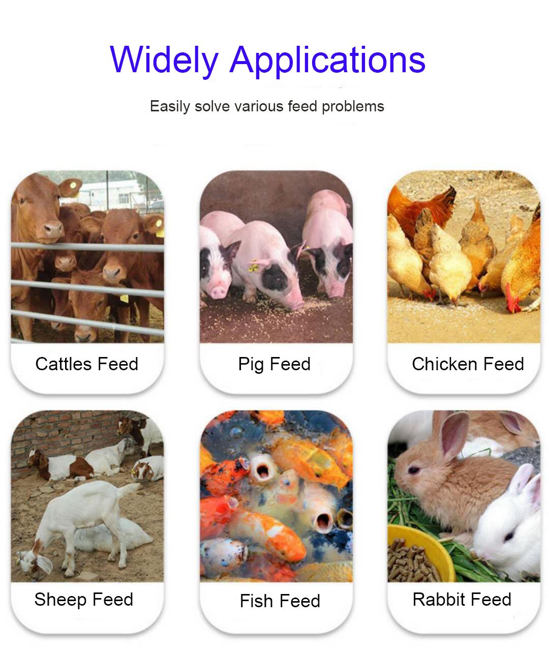 MAIKONG chicken feed production line complete setup in modern Philippine feed mill facility