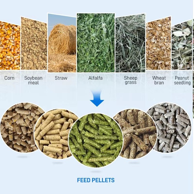 Manual pellet machine ring die mechanism