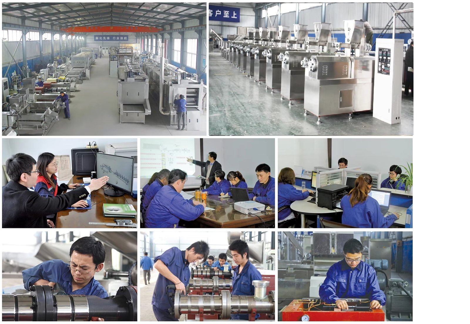 MAIKONG complete range of eight feed pellet machine models displayed in showroom