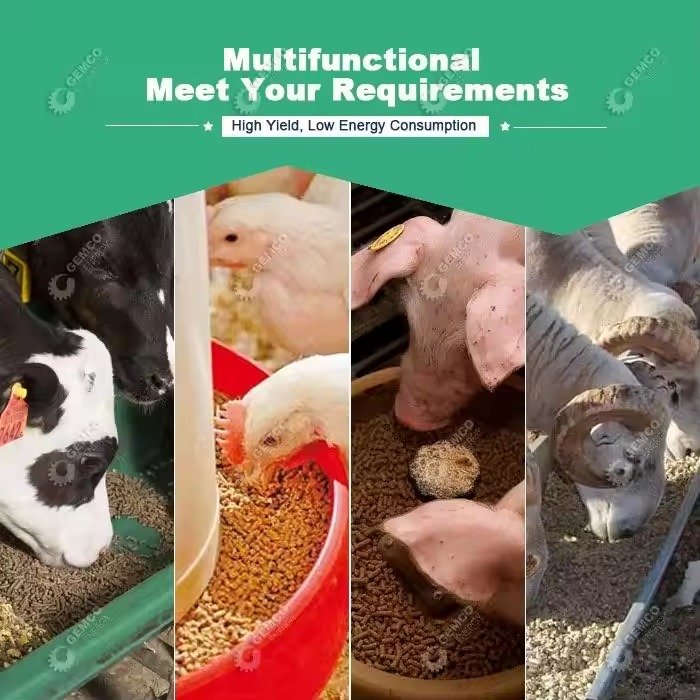 Complete cattle feed pellet production line facility showing multiple machines