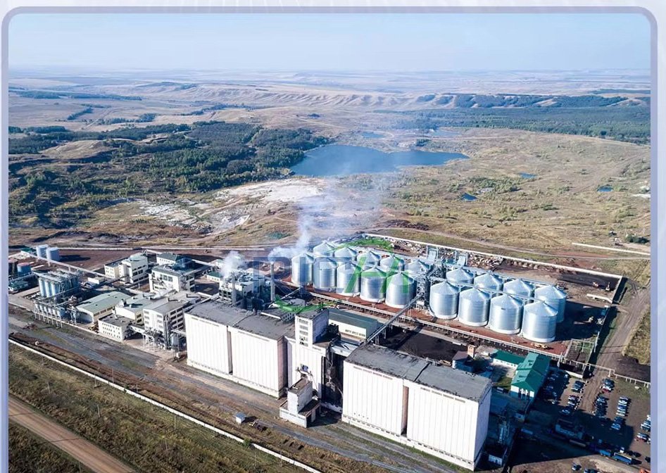 How to Choose the Right Feed Pellet Production Line for Your Farm 6 Modern feed pellet production line in Philippine farm facility showing automated equipment