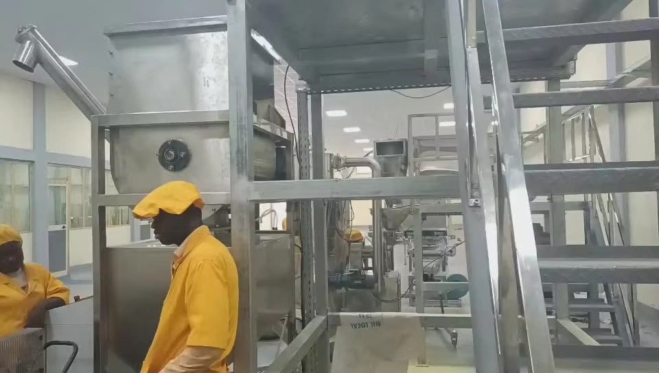 Large capacity ribbon mixer blending fish feed ingredients