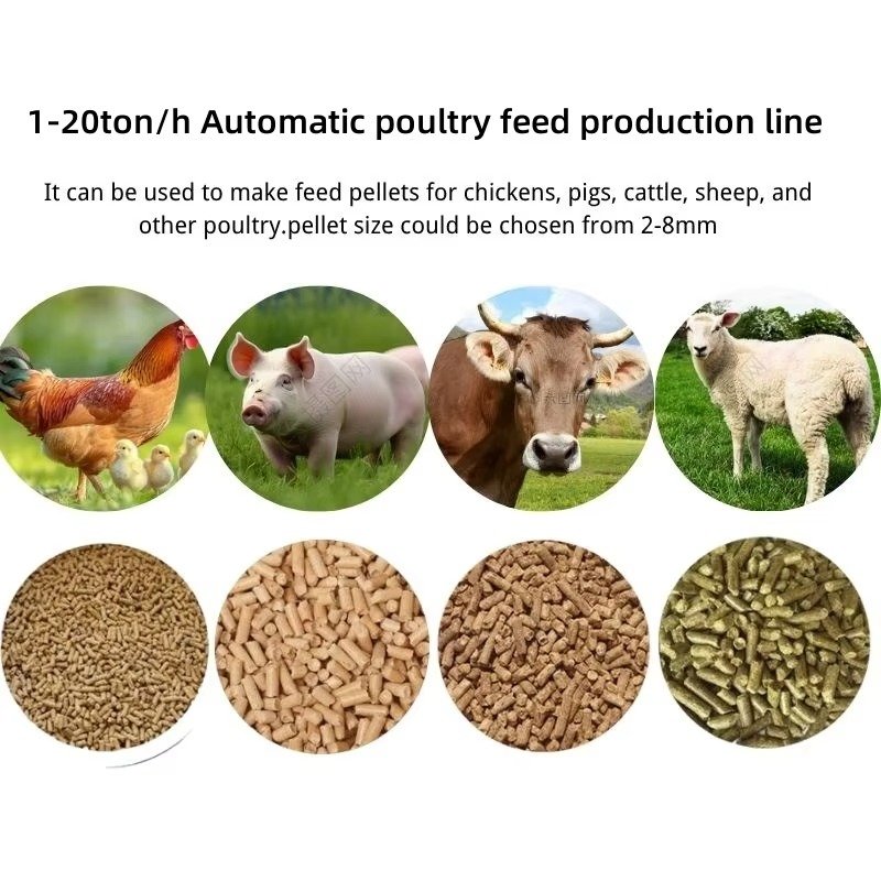 animal feed production line manufacturing facility in Shenzhen